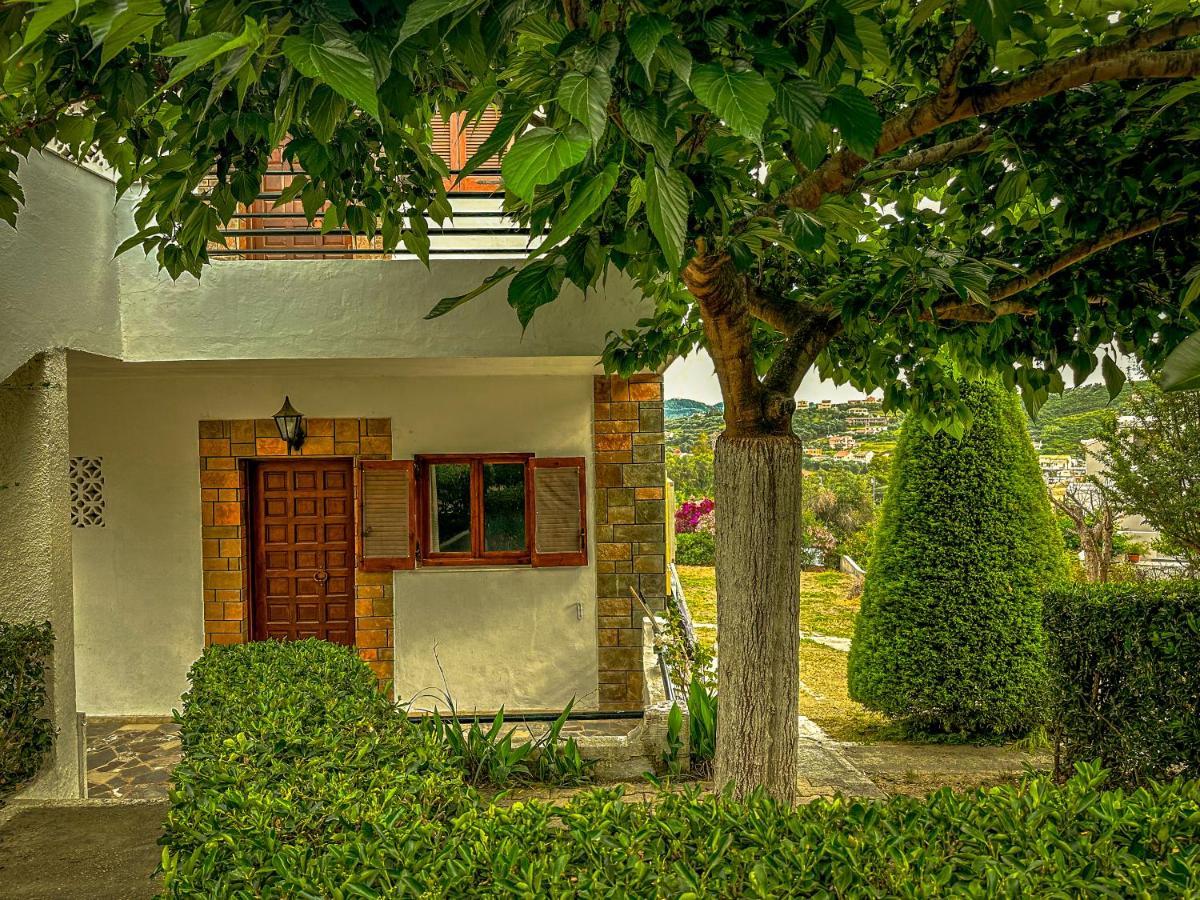Apartamento Katerina's *
