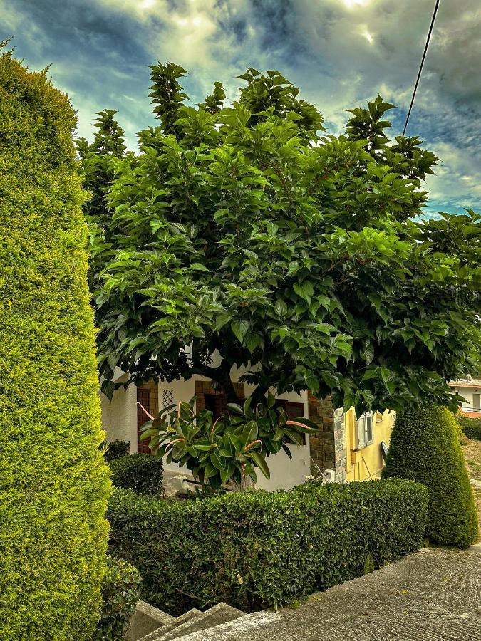 Apartamento Katerina's *